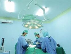 Ilmuwan China Sukses Transplantasi Paru-Paru Babi ke Manusia