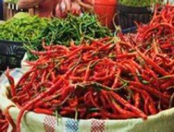 Cabai Merah di Batam Meroket, Harga Capai Rp110 per Kilogram