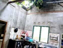 Dua Rumah Warga di Kundur Barat Rusak Ditimpa Pohon Tumbang 