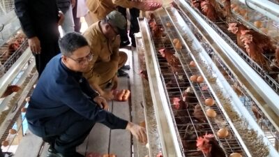 Baru 3 Bulan, BUM Des Pongkar Sukses Cetak Pendapatan Rp 23 Juta, Bupati Apresiasi 