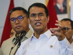 Tak Hanya di Sabang, Amran Temukan Lagi Beras Ilegal 40,4 Ton di Batam