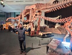Liburan Berkualitas Mengenal Fosil Purba di Sciene Center Singapore