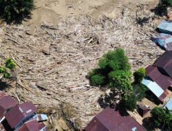 Update BNPB: Korban Tewas Banjir Sumatera Bertambah Jadi 964 Orang