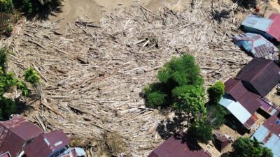 Gelondongan kayu yang terbawa banjir bandang sejak dua pekan lalu masih tersangkut di wilayah itu. (ANTARA FOTO/Iggoy el Fitra)
