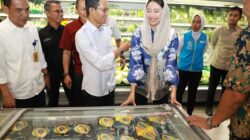 Jelang Idulfitri, Amsakar dan Wamendag Pastikan Harga dan Stok Sembako di Batam Aman