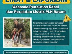 PLN Batam Imbau Masyarakat Waspada Pencurian Kabel Listrik