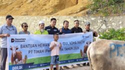 PT Timah-PWI Karimun Salurkan Bantuan Sapi Kurban di Perum Gladiola, Warga: Jadi Satu-satunya Sapi Kurban di Sini 