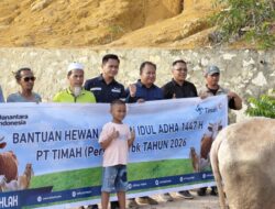 PT Timah-PWI Karimun Salurkan Bantuan Sapi Kurban di Perum Gladiola, Warga: Jadi Satu-satunya Sapi Kurban di Sini 