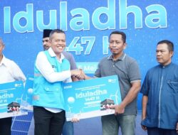 PLN Batam Salurkan 18 Sapi dan 50 Kambing pada Idul Adha 1447 H