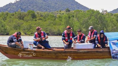 Komitmen Lestarikan Lingkungan, PT Timah Tbk Lakukan Restocking Kepiting Bakau di Karimun