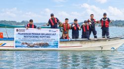 PT Timah Lepas 1.000 Bibit Kepiting Bakau di Perairan Pulau Kundur