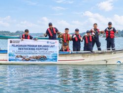PT Timah Lepas 1.000 Bibit Kepiting Bakau di Perairan Pulau Kundur