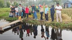 Dinas PUPR Karimun Perkuat Irigasi Sawah Desa Pangke 