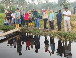 Dinas PUPR Karimun Perkuat Irigasi Sawah Desa Pangke 